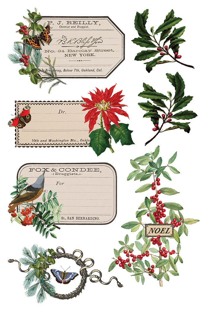 Winter Botanist Transfer by Iron orchid Designs IOD Christmas 2025  LIMITED EDITION