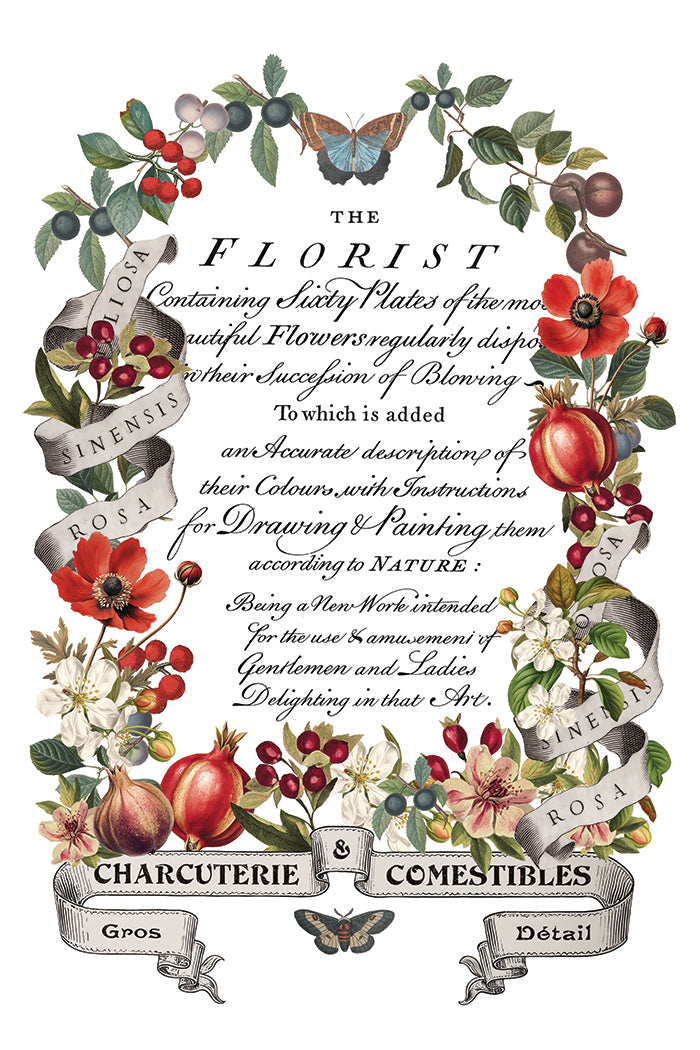 Clementine Transfer by Iron orchid Designs IOD Christmas 2025  LIMITED EDITION