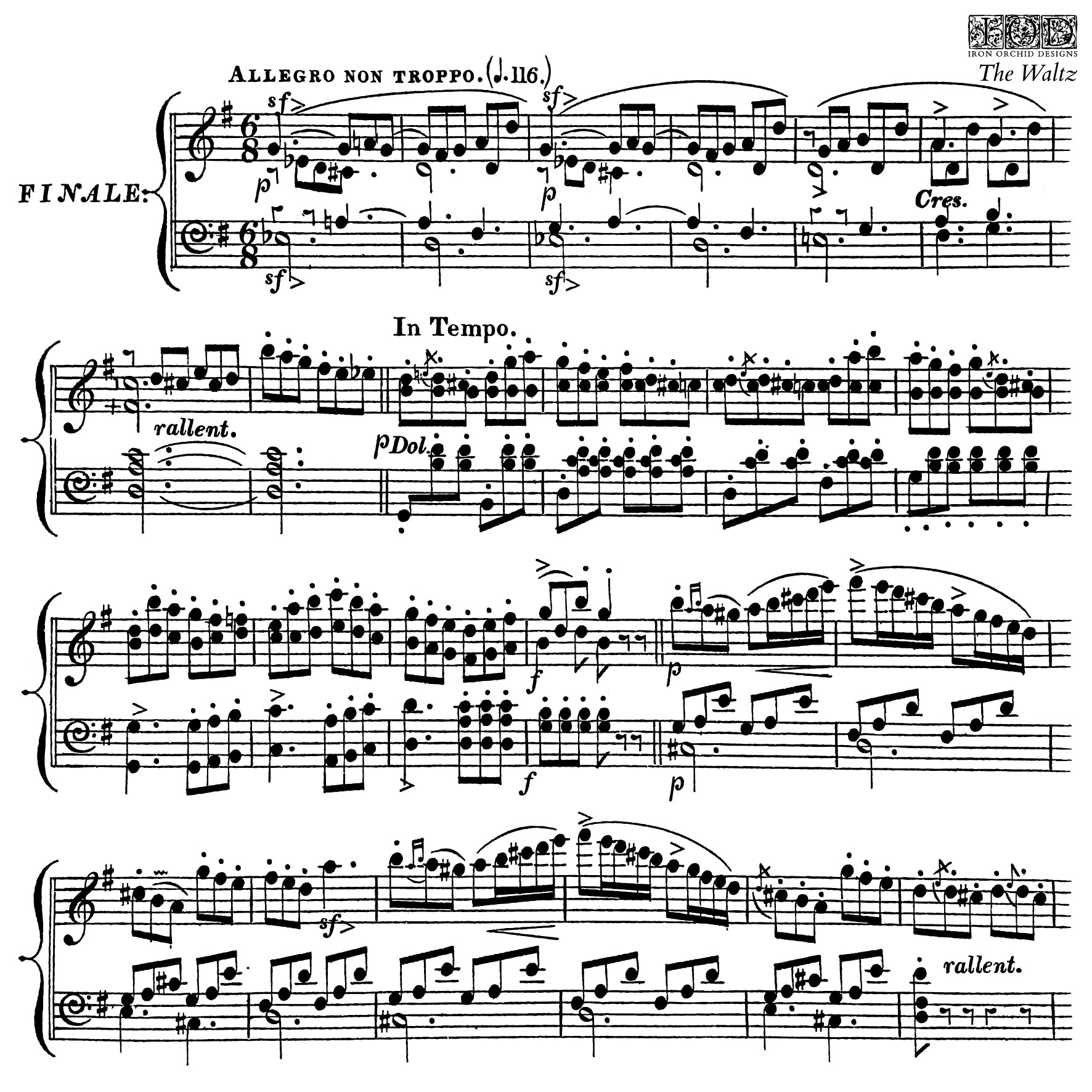 The Waltz Stamp by Iron Orchid Designs IOD Summer 2025