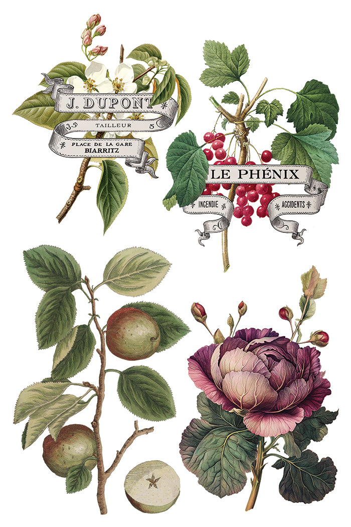 Clementine Transfer by Iron orchid Designs IOD Christmas 2025  LIMITED EDITION