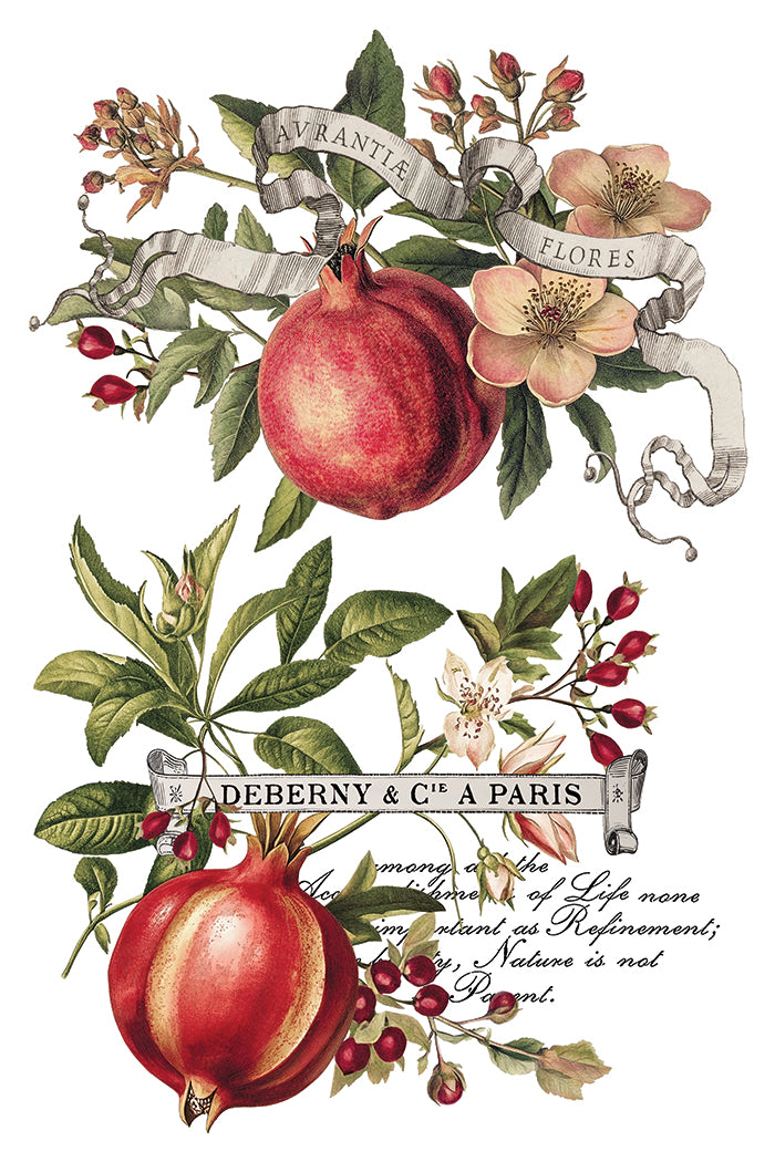 Clementine Transfer by Iron orchid Designs IOD Christmas 2025  LIMITED EDITION