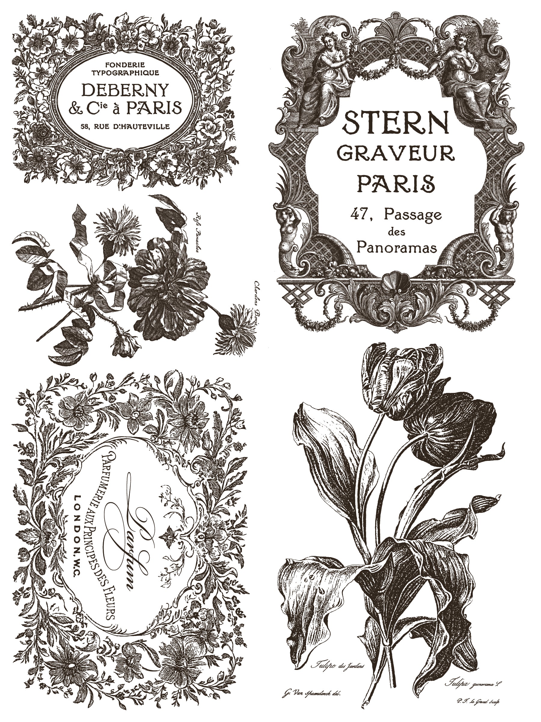 Floriography Paint Inlay by Iron Orchid Designs IOD Summer 2025