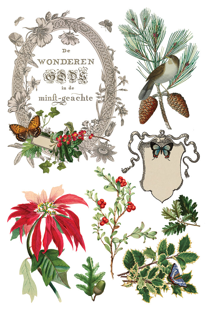 Winter Botanist Transfer by Iron orchid Designs IOD Christmas 2025  LIMITED EDITION
