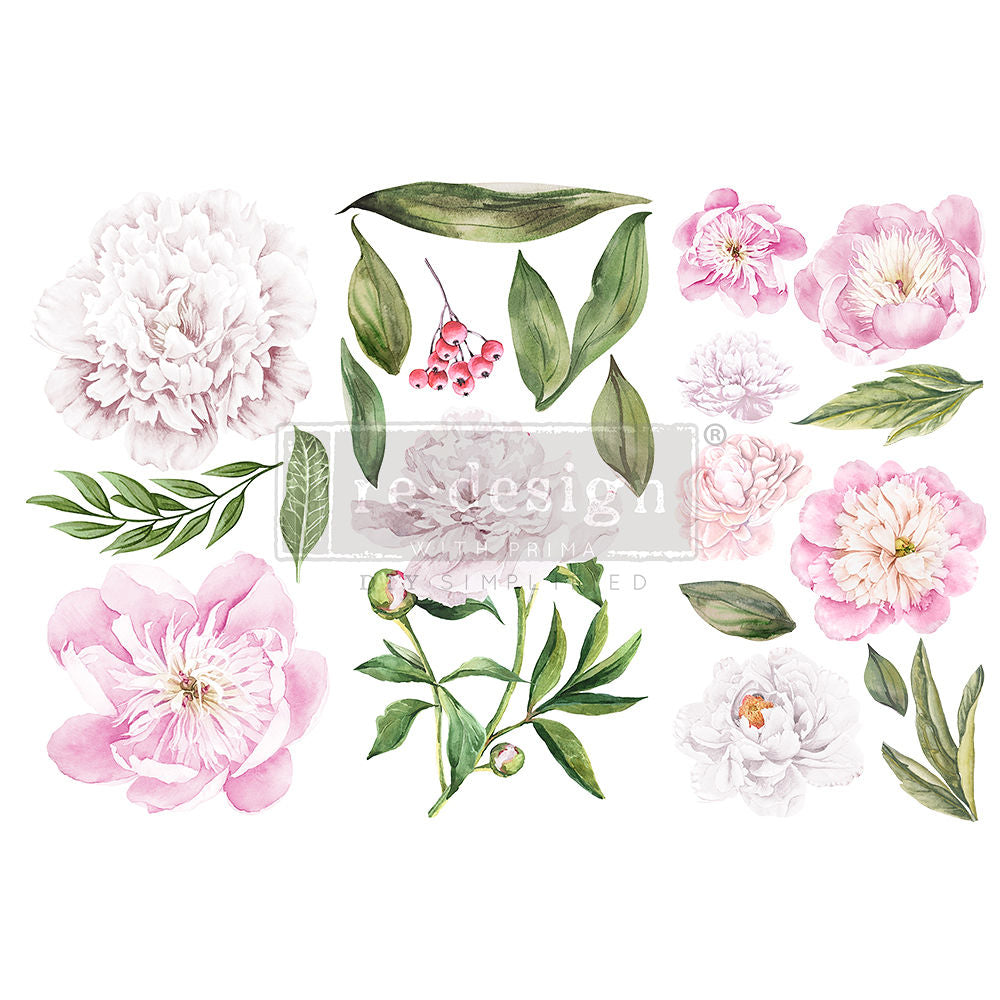 Morning Peonies Decor Transfert Redeign avec prima